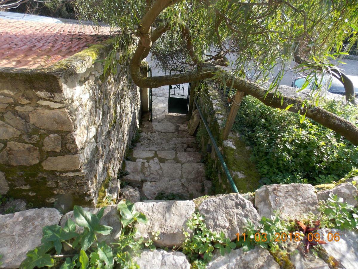 Almond Trees Cottage Divarata Exteriör bild